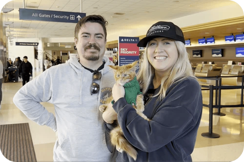 Gatito de Miguel y Laura H.